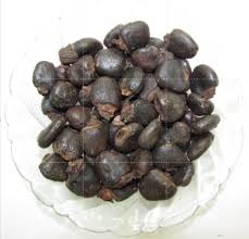 44 semecarpus anacardium