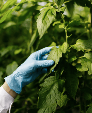 Untitled design (83)